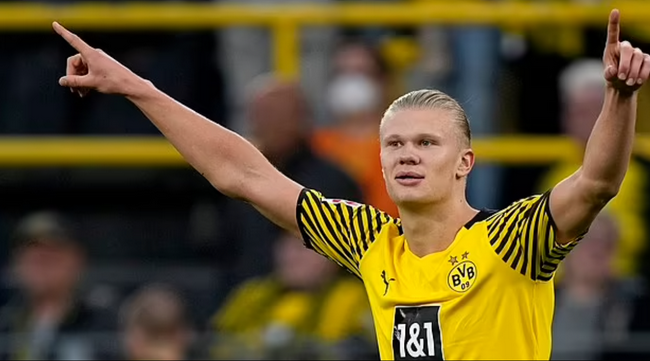 围棋新锐棋手成长轨迹观察